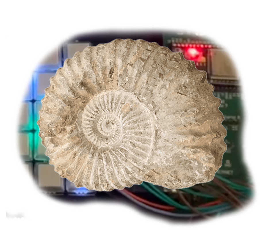 An ammonite fossil laid over the ammonite looper's circuit board and NeoKey matrix, glowing blue and green.